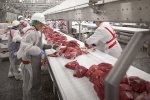 Жахіття наяву: київський центр онкології перетворили на м'ясний конвеєр, криваві кадри не для слабкодухих