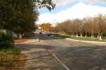 Приручили рудих бестій: на підприємстві під Харковом засікли незвичайних "працівниць"