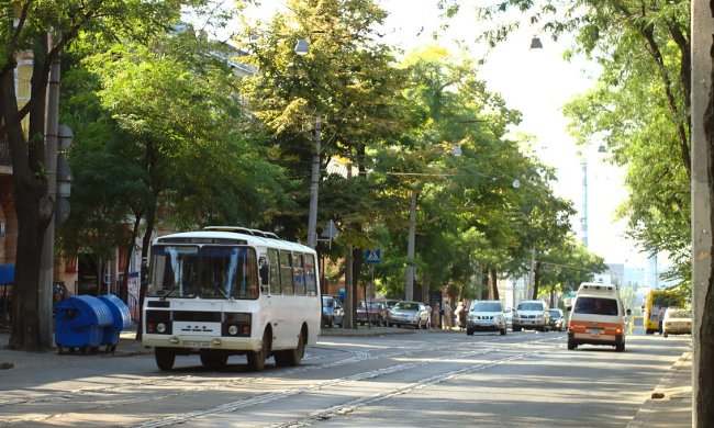 Заполонили воду и воздух: украинцев атаковала странная эпидемия, люди в панике
