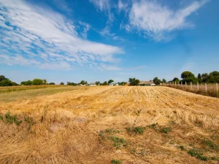 Купівля землі через Prozorro.Продажі
