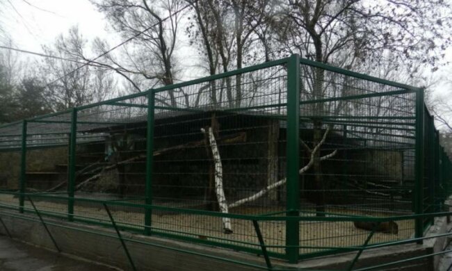 Такого ще не було: в українському зоопарку справжній переполох