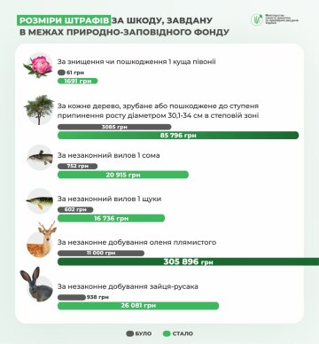 Інфографіка: mepr.gov.ua