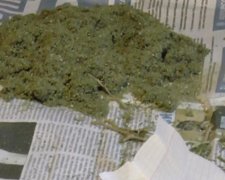 На Херсонщині міліціонери вилучили наркотиків на 240 тисяч гривень (фото)