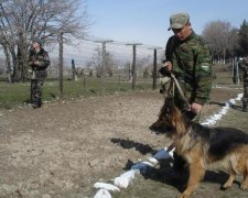 Добровільно-примусово: росіянам перекривають всі шляхи за кордон