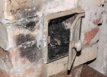 Дров'яна піч, фото із соцмереж