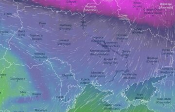 Погода в Україні на січень, скріншот: VentuSky