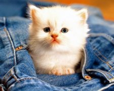 Стирка джинсов: названы основные правила