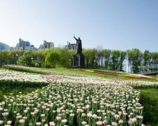 Курс валют на 30 июня: доллар и евро заметно выросли