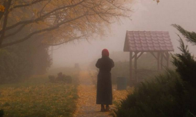 Украинцы, осень, туман, фото из соцсетей