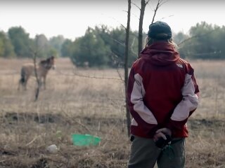 Чернобыль, фото: скриншот из видео