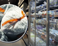 Продукти в АТБ та сміттєві мішки