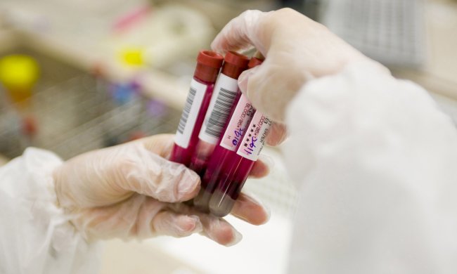 Лучше любого теста: ученые смогли определить характер человека по группе крови