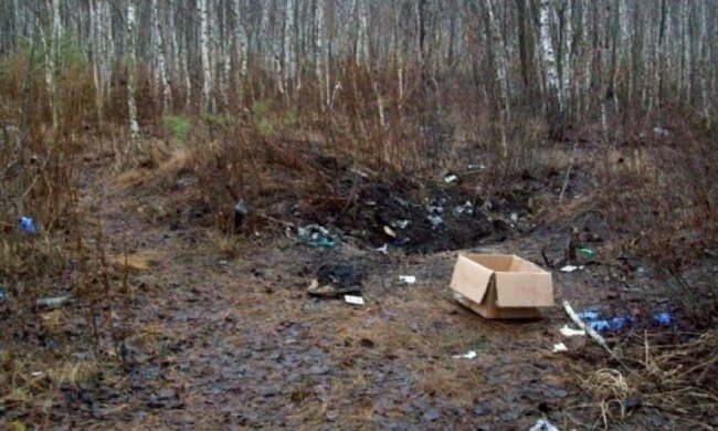 Студентку задушили в лісі