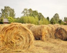 Степана Сінника 15 серпня: що потрібно, а що не можна робити