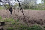 Що росте в затінку. Фото: Youtube