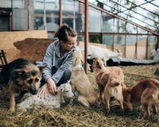 Десятки тварин на межі смерті: найбільший притулок України спіткало лихо