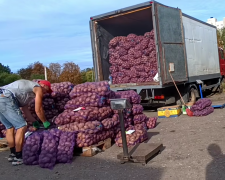 Продажа картофеля. Фото: скрин youtube