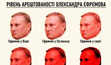 Українцям показали "шкалу арештованості" Єфремова