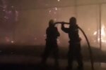 Пожары на Луганщине, фото: кадр из видео