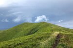 Можно ли строить ВЭС в природоохранных зонах: по каким правилам это делает Европа