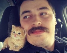 Американский коп взял в напарники котенка