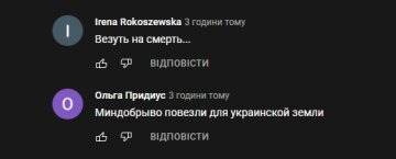 Скриншот комментария