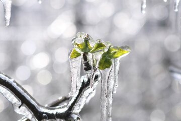 24 февраля погода разделит Украину на весну и зиму