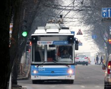 Хмельничан возять на еко-розвалюхах, ви не так зрозуміли: "Це ж рослини!"