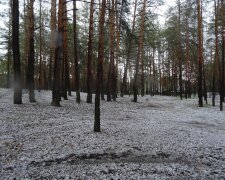 Град, фото: Александр Белименко /Facebook