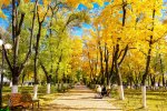 Погода на вихідні "благословила" українців