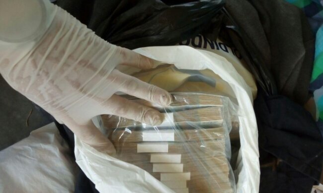 конфискованные деньги, фото dpsu.gov.ua