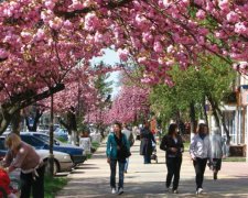 Погода на 22 квітня: стихія приготувала українцям чергову підлянку