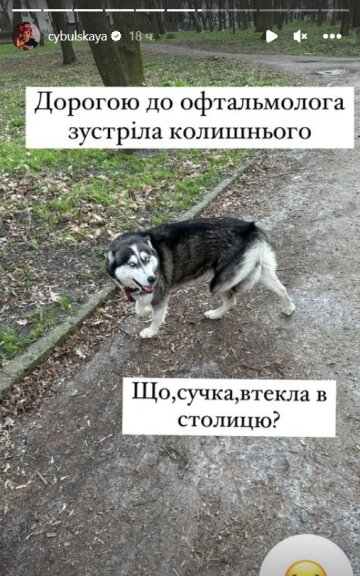 Stories Оли Цибульской, скриншот: Instagram