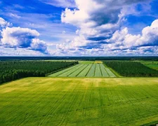 Сельскохозяйственная земля в Украине
