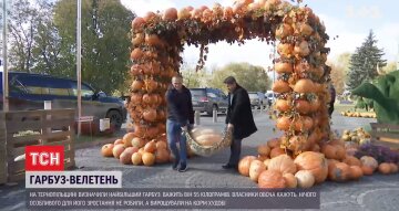 Тыква-рекордсмен, фото: скриншот из видео