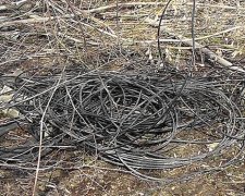 Крадія телефонного кабеля на Львівщині можуть посадити на три роки