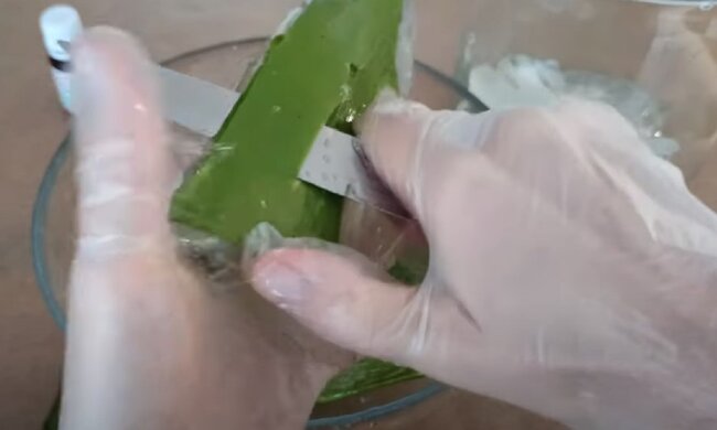 Алое вера. Фото: Youtube