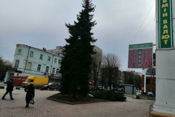 Курс валют, фото Знай.ua