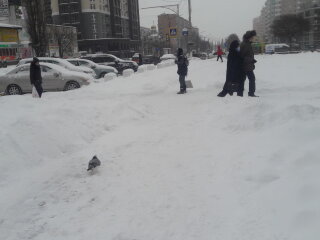 Зима, мороз - фото Знай.ua