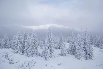 Первый снег в Карпатах, фото из соцсетей