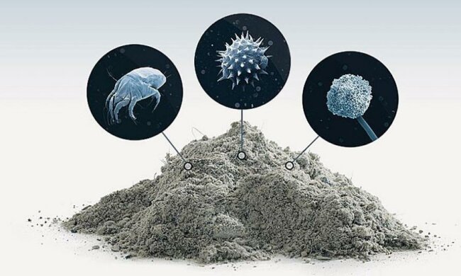 Пил у квартирі: бомба сповільненої дії