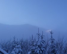 Карпаты оказались в морозно-снежной ловушке: фото невероятной красоты