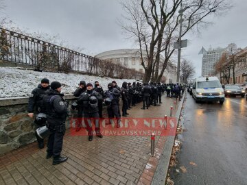 Мітинг у центрі, фото: Pavlovsky