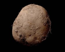 Фотографію картоплі продали за мільйон доларів
