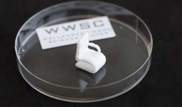3D-принтер научили печатать объекты из дерева