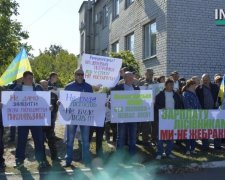 Вимагають і погрожують: миколаївські лісничі звернулися до президента