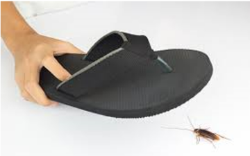 Вбити таргана: фото з вільних джерел