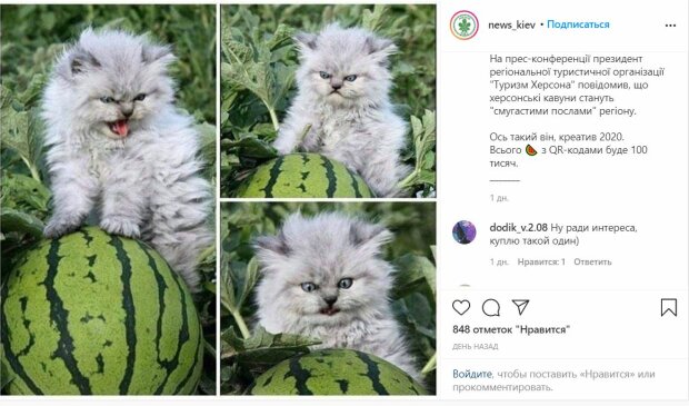 Публикация news_kiev, скриншот: Instagram