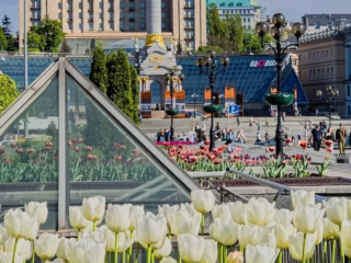 Українці, Київ, квіти, фото із соцмереж
