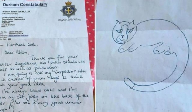 В поліції Великобританії служитимуть коти